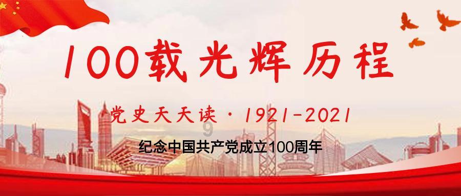 胖小猫救援